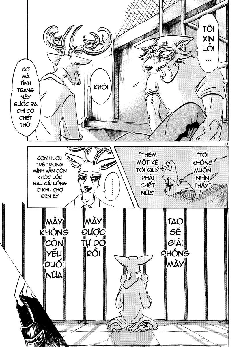 Bởi Vì Chúng Ta Đều Là Những Ngôi Sao Chapter 95 - 13