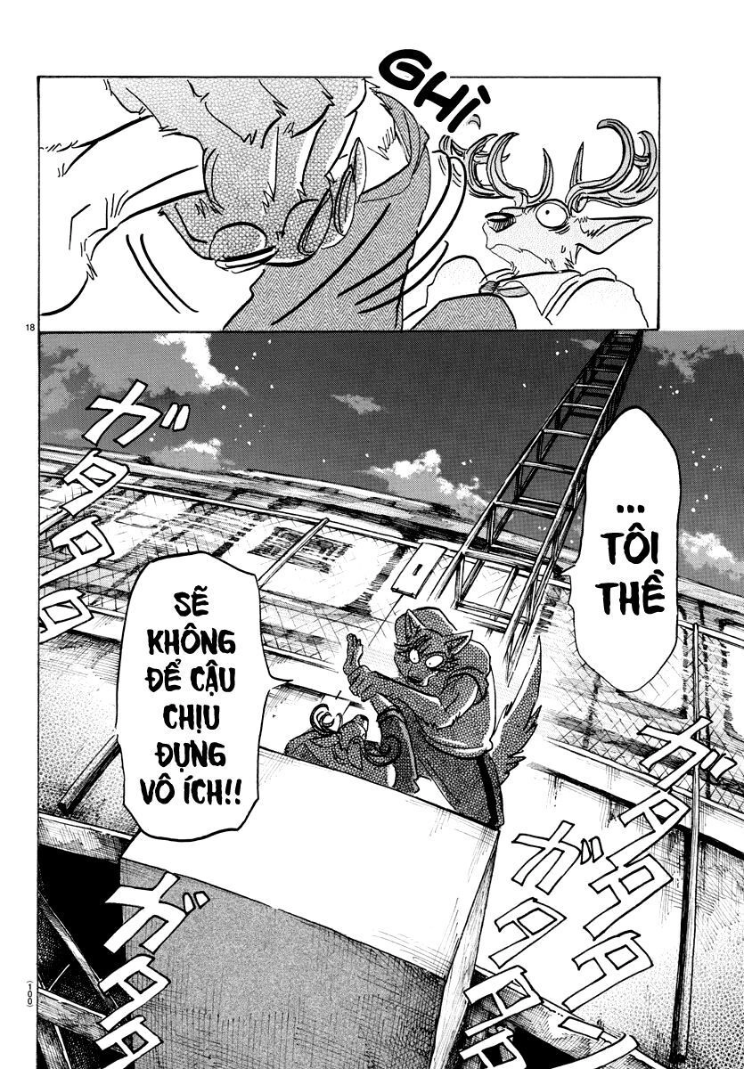 Bởi Vì Chúng Ta Đều Là Những Ngôi Sao Chapter 95 - 17