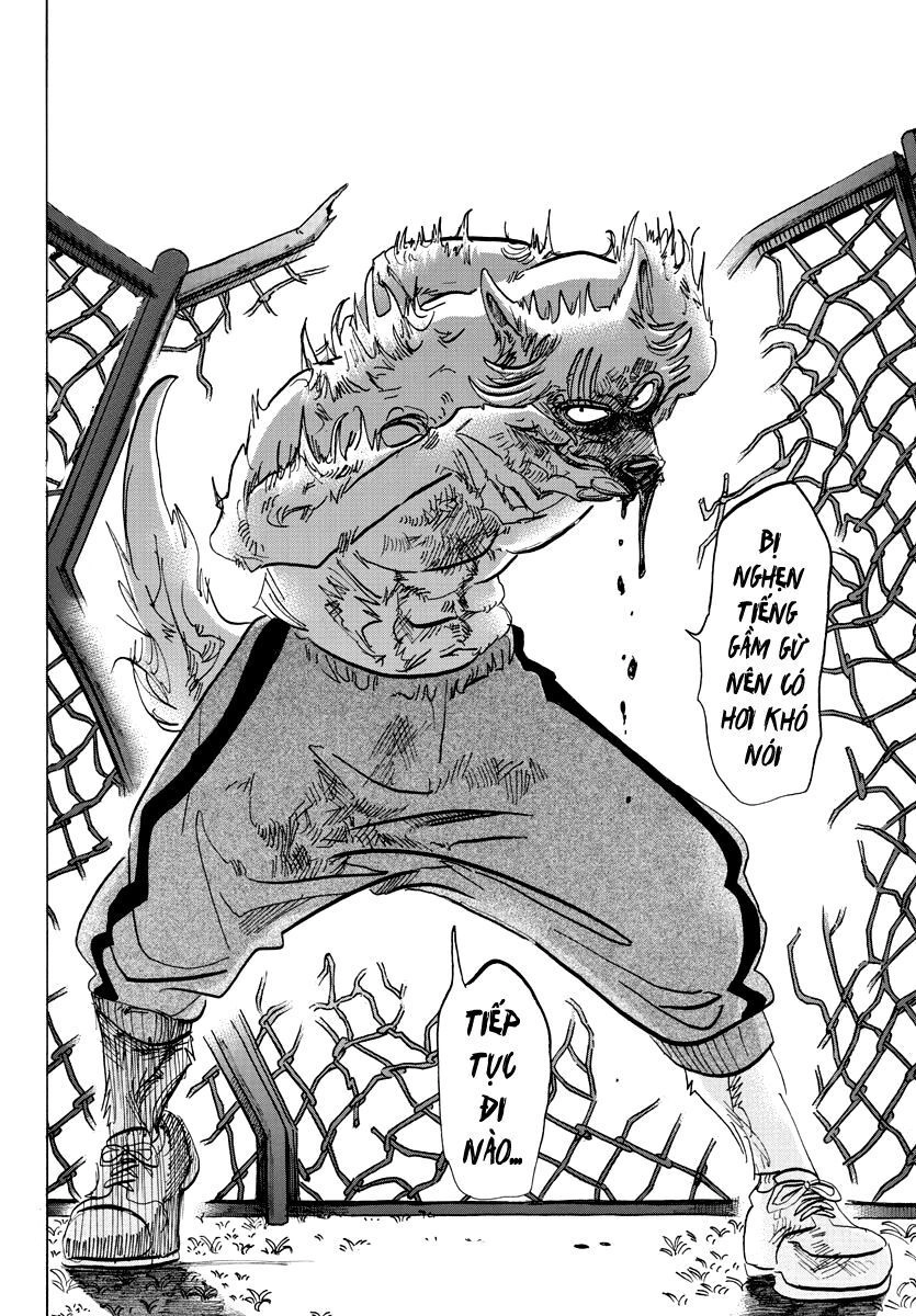 Bởi Vì Chúng Ta Đều Là Những Ngôi Sao Chapter 95 - 19