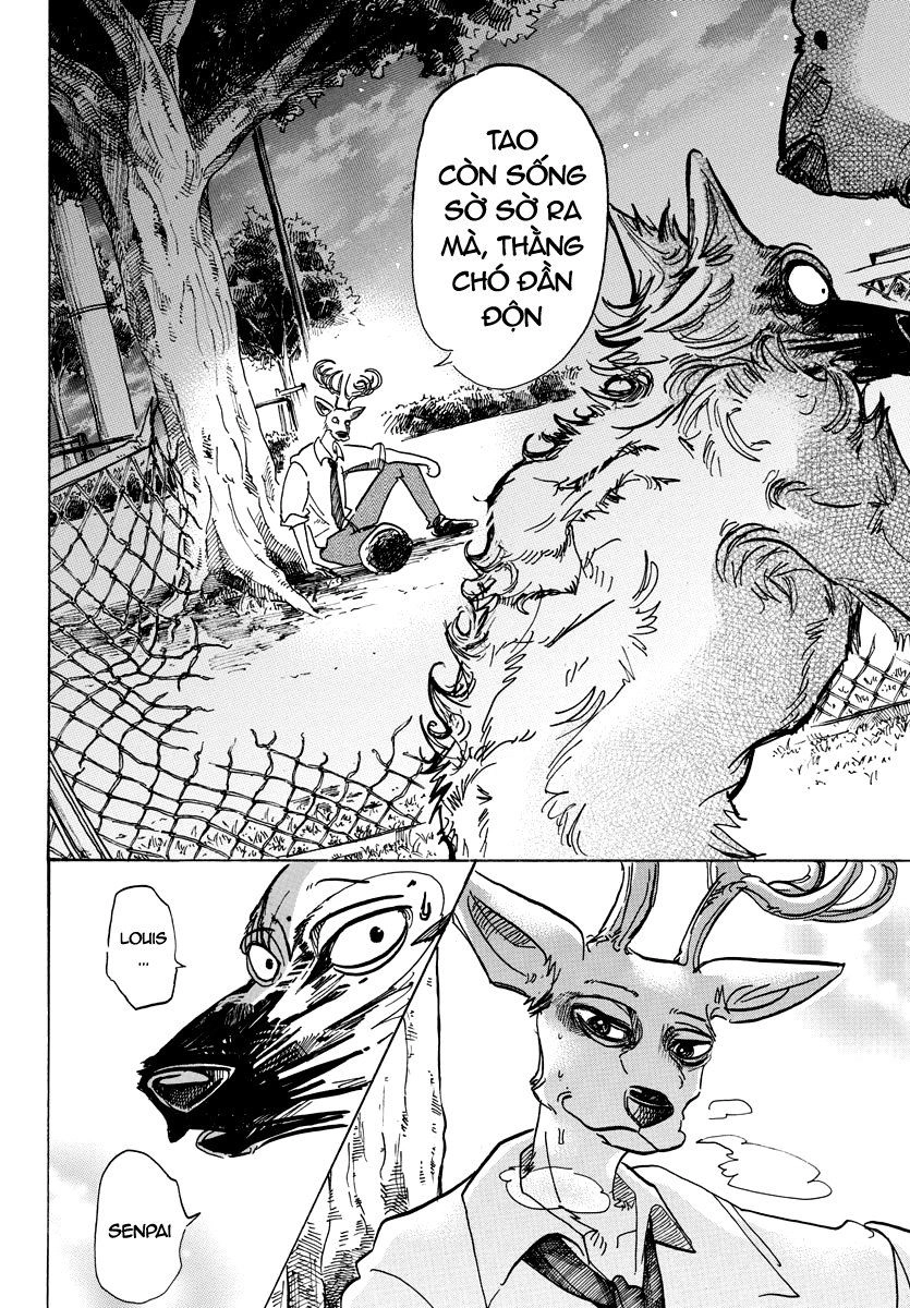 Bởi Vì Chúng Ta Đều Là Những Ngôi Sao Chapter 96 - 16