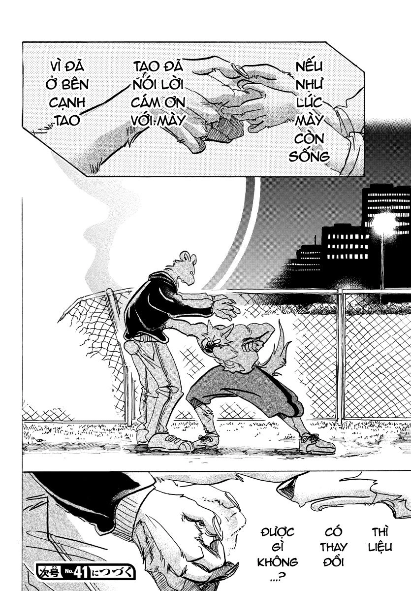 Bởi Vì Chúng Ta Đều Là Những Ngôi Sao Chapter 96 - 18