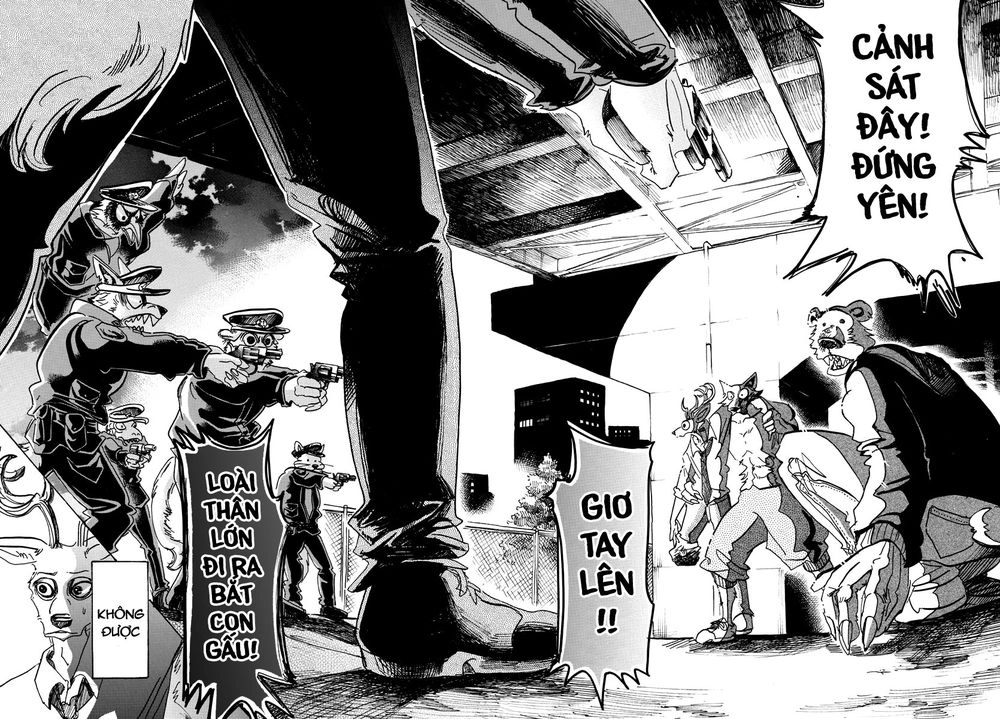 Bởi Vì Chúng Ta Đều Là Những Ngôi Sao Chapter 97 - 10