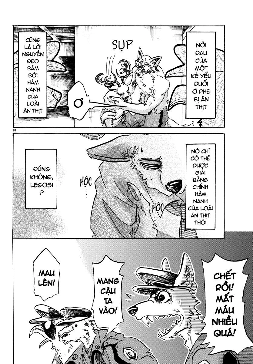 Bởi Vì Chúng Ta Đều Là Những Ngôi Sao Chapter 97 - 19