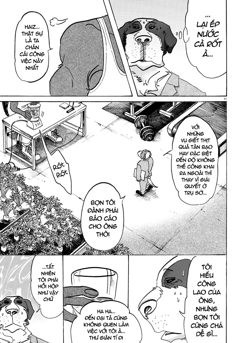 Bởi Vì Chúng Ta Đều Là Những Ngôi Sao Chapter 99 - 11