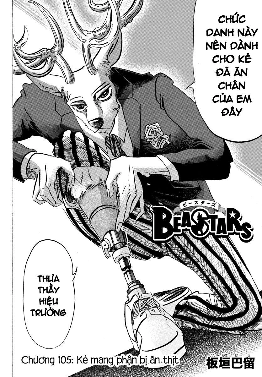 Bởi Vì Chúng Ta Đều Là Những Ngôi Sao Chapter 105 - 2