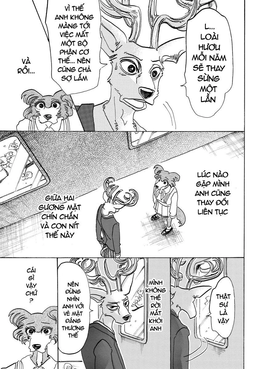 Bởi Vì Chúng Ta Đều Là Những Ngôi Sao Chapter 105 - 11