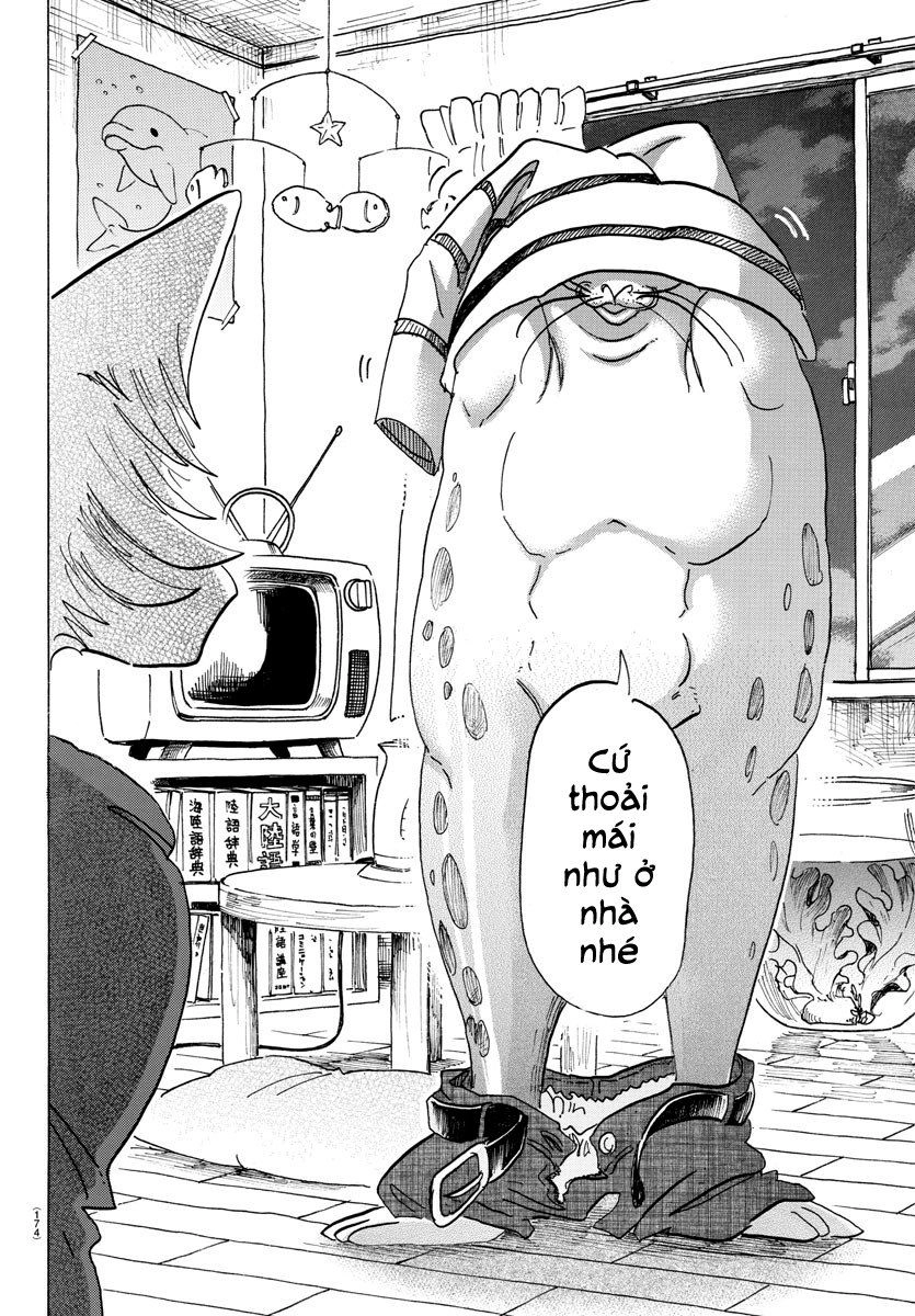 Bởi Vì Chúng Ta Đều Là Những Ngôi Sao Chapter 109 - 12