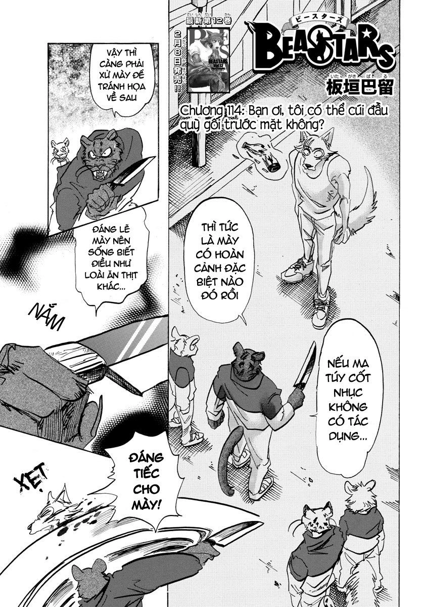 Bởi Vì Chúng Ta Đều Là Những Ngôi Sao Chapter 114 - 1