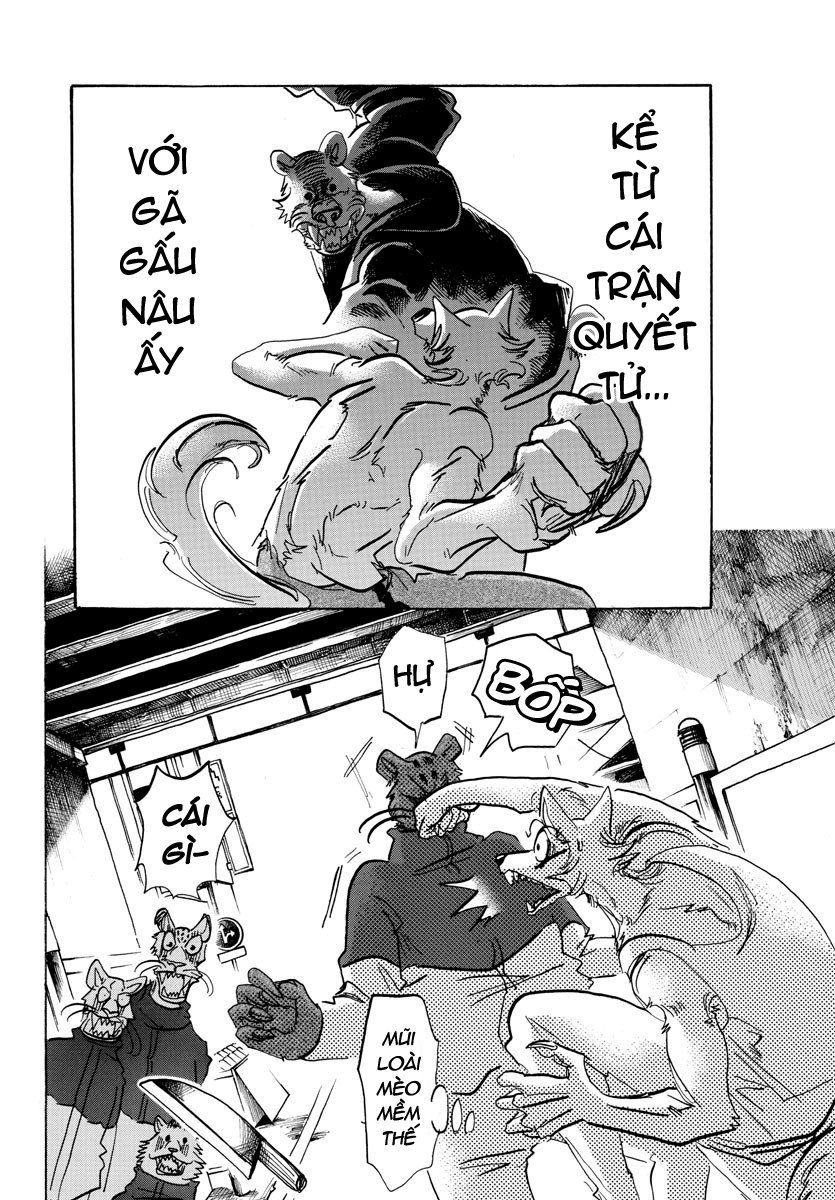 Bởi Vì Chúng Ta Đều Là Những Ngôi Sao Chapter 114 - 4