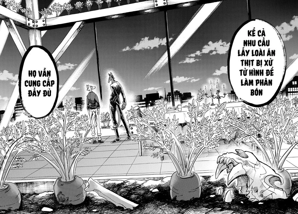 Bởi Vì Chúng Ta Đều Là Những Ngôi Sao Chapter 117 - 15