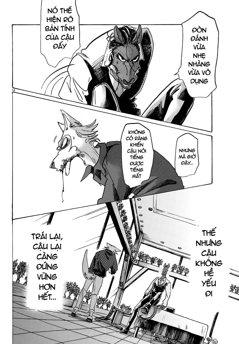 Bởi Vì Chúng Ta Đều Là Những Ngôi Sao Chapter 118 - 13