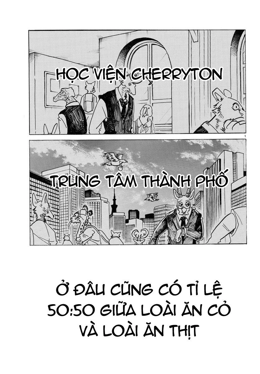 Bởi Vì Chúng Ta Đều Là Những Ngôi Sao Chapter 122 - 3