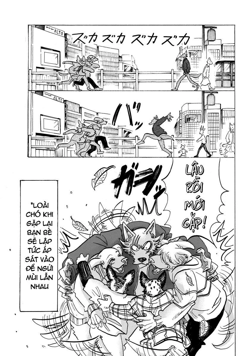 Bởi Vì Chúng Ta Đều Là Những Ngôi Sao Chapter 123 - 6