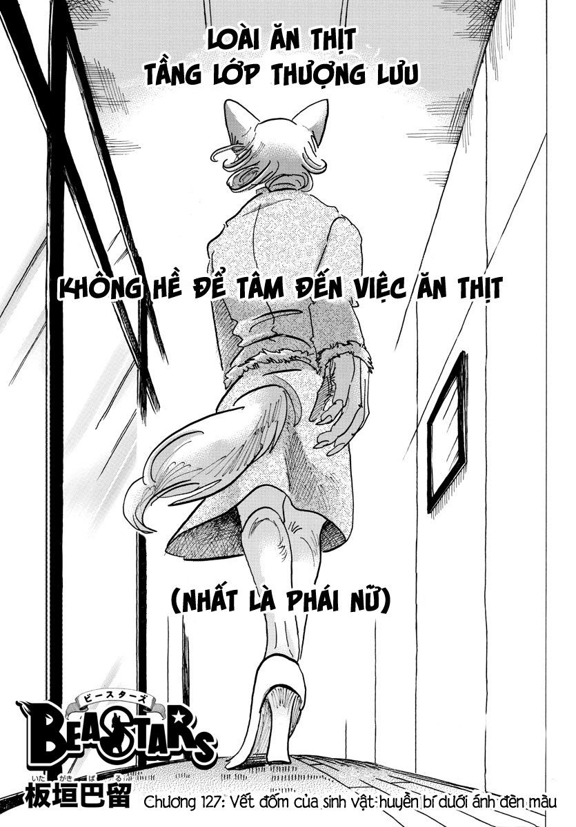 Bởi Vì Chúng Ta Đều Là Những Ngôi Sao Chapter 127 - 1