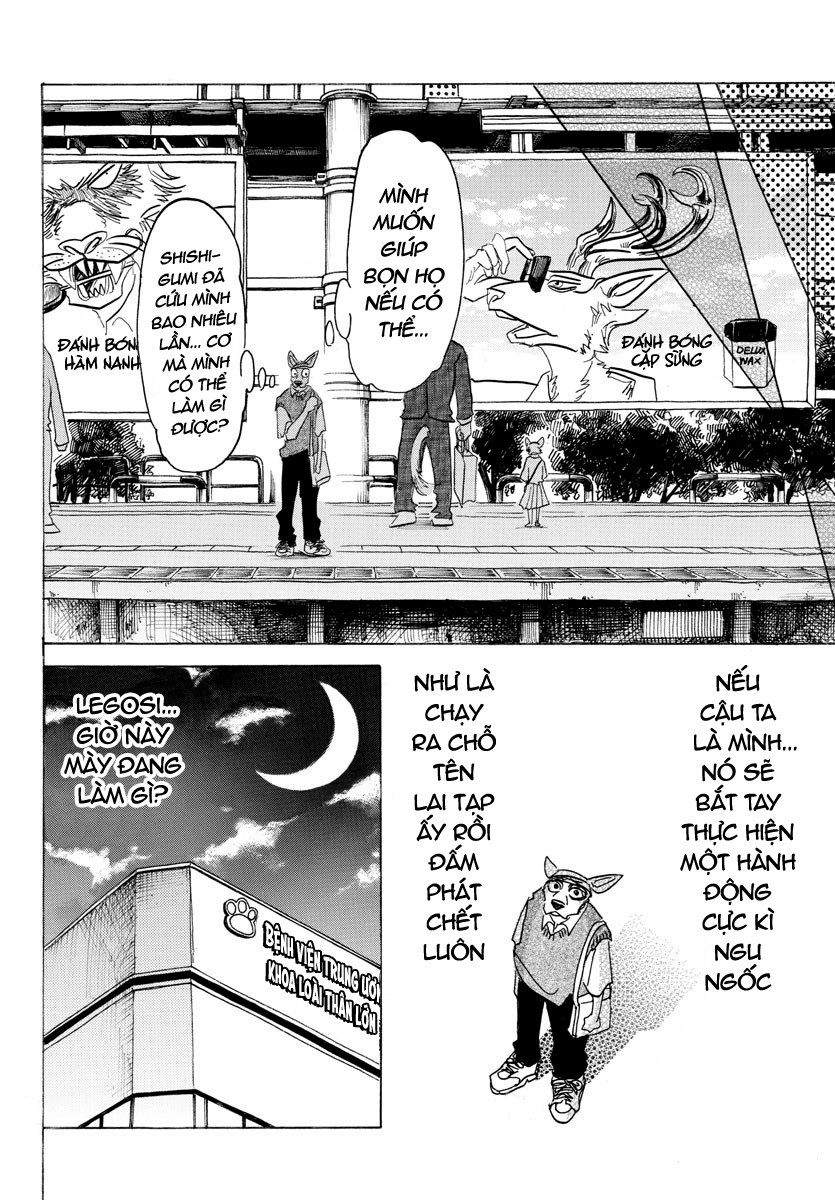 Bởi Vì Chúng Ta Đều Là Những Ngôi Sao Chapter 132 - 12