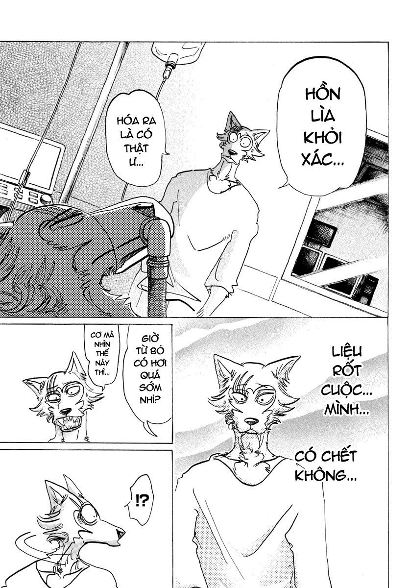 Bởi Vì Chúng Ta Đều Là Những Ngôi Sao Chapter 132 - 17