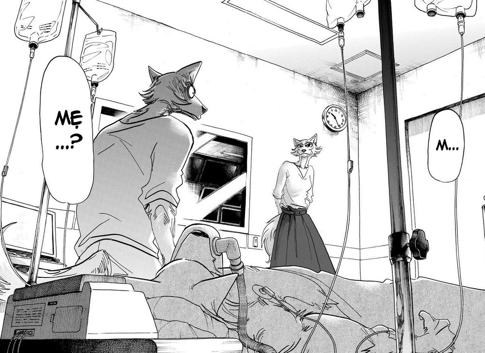 Bởi Vì Chúng Ta Đều Là Những Ngôi Sao Chapter 132 - 18