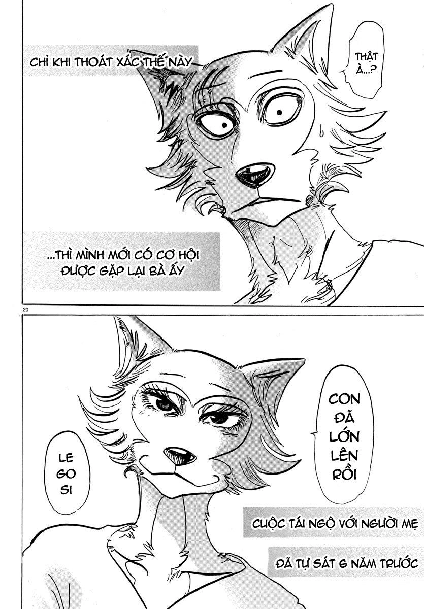 Bởi Vì Chúng Ta Đều Là Những Ngôi Sao Chapter 132 - 19