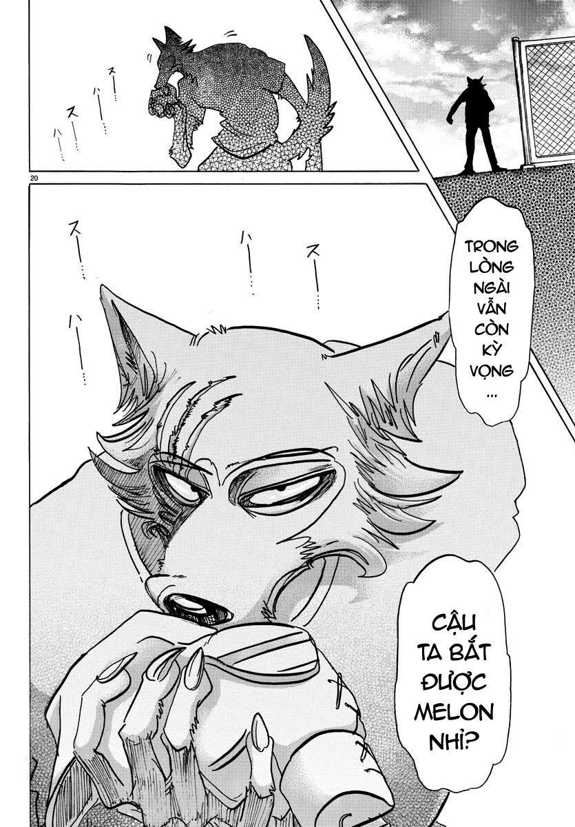 Bởi Vì Chúng Ta Đều Là Những Ngôi Sao Chapter 138 - 19