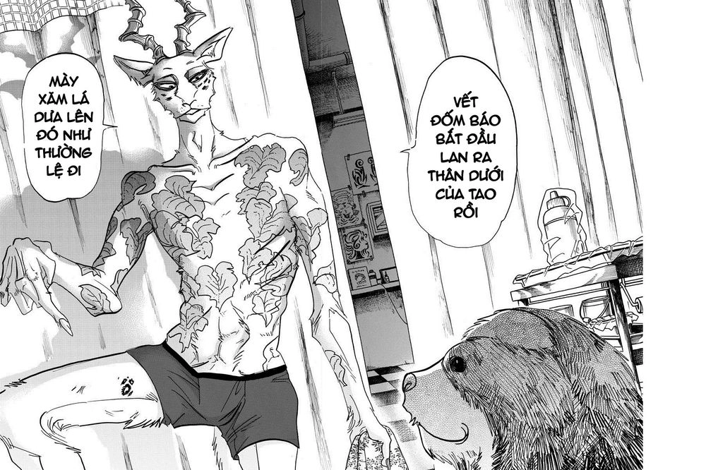 Bởi Vì Chúng Ta Đều Là Những Ngôi Sao Chapter 139 - 12