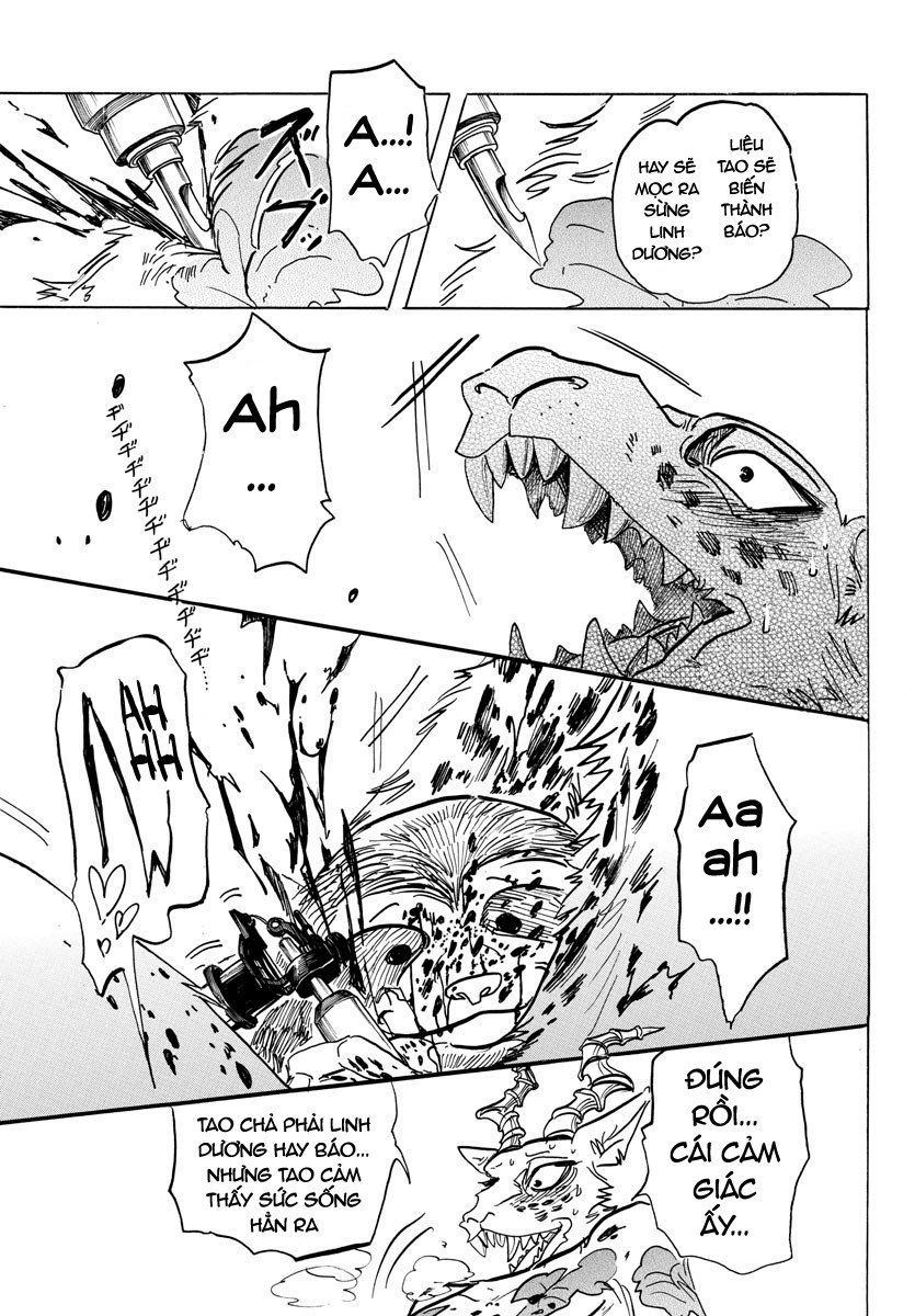 Bởi Vì Chúng Ta Đều Là Những Ngôi Sao Chapter 139 - 14