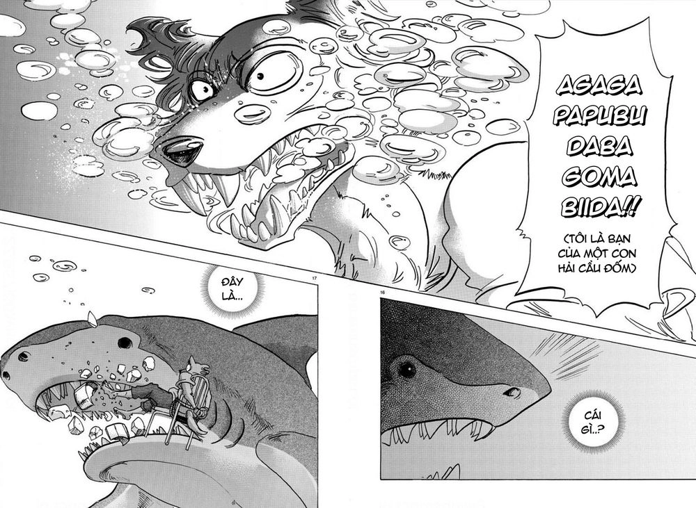 Bởi Vì Chúng Ta Đều Là Những Ngôi Sao Chapter 141 - 17