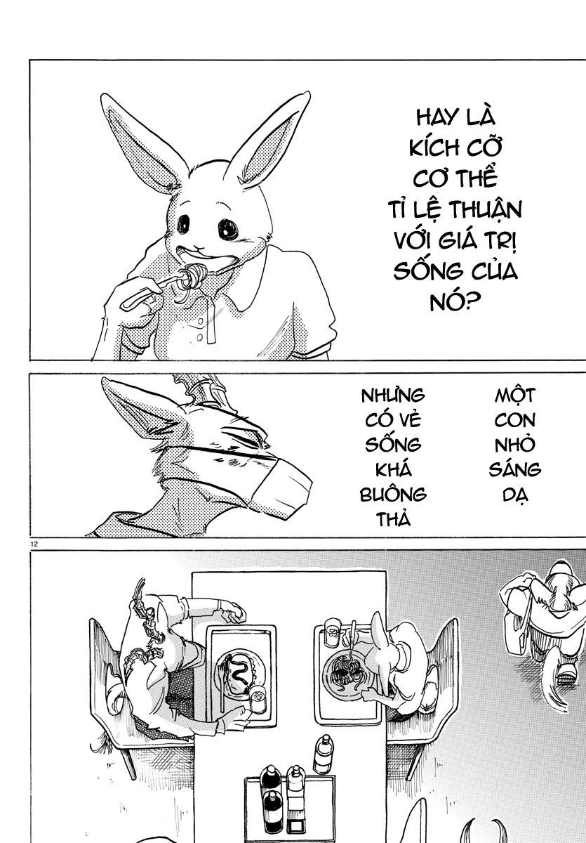 Bởi Vì Chúng Ta Đều Là Những Ngôi Sao Chapter 146 - 12