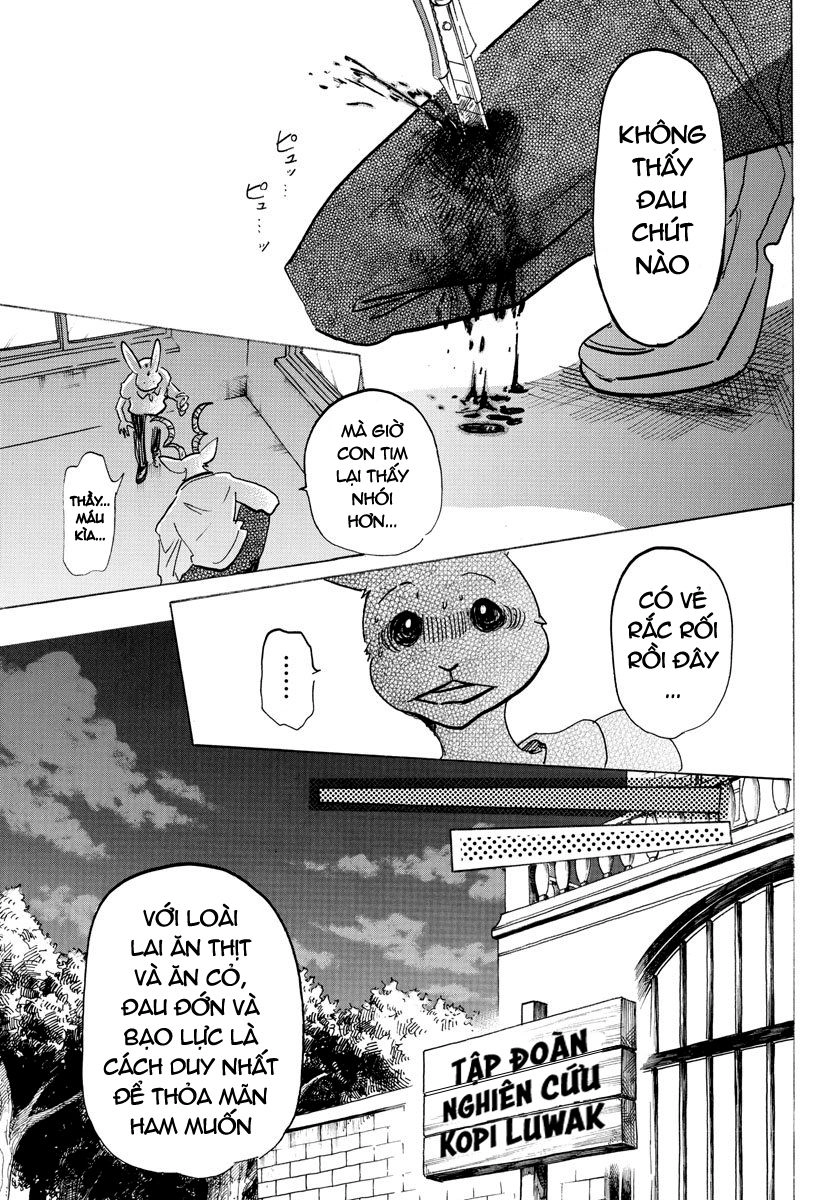 Bởi Vì Chúng Ta Đều Là Những Ngôi Sao Chapter 147 - 8