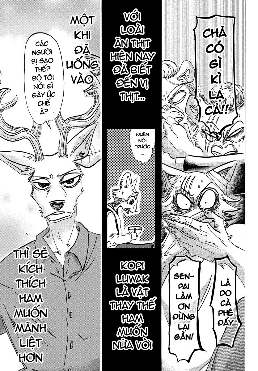 Bởi Vì Chúng Ta Đều Là Những Ngôi Sao Chapter 147 - 12