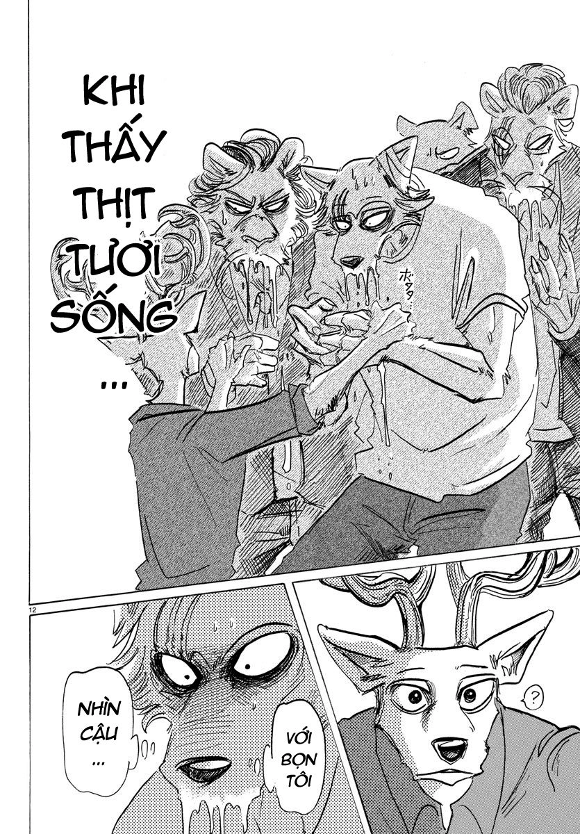 Bởi Vì Chúng Ta Đều Là Những Ngôi Sao Chapter 147 - 13