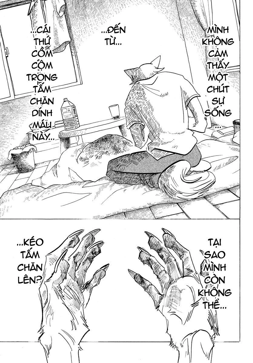 Bởi Vì Chúng Ta Đều Là Những Ngôi Sao Chapter 149 - 3