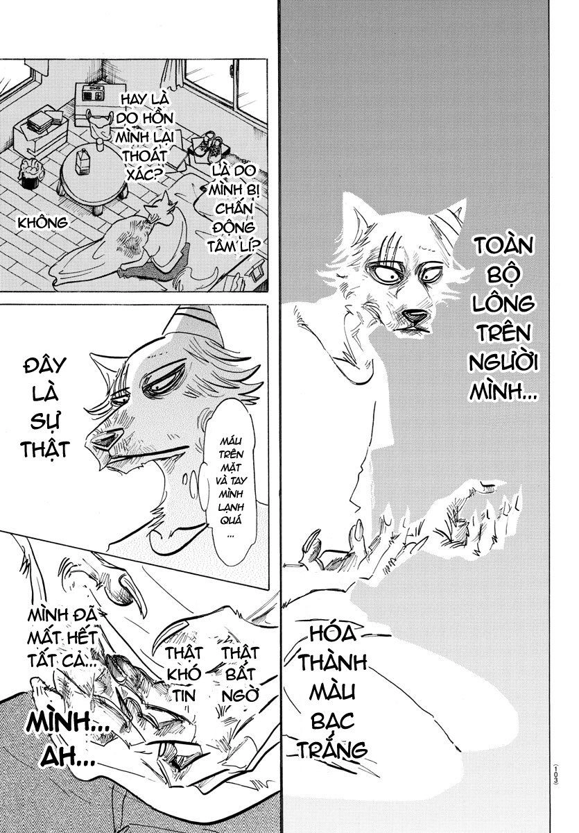 Bởi Vì Chúng Ta Đều Là Những Ngôi Sao Chapter 149 - 5