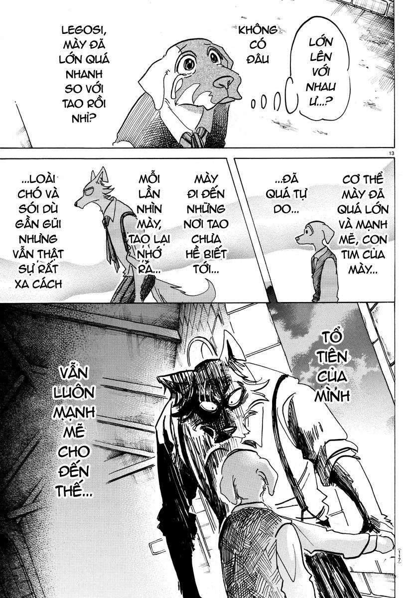 Bởi Vì Chúng Ta Đều Là Những Ngôi Sao Chapter 153 - 12