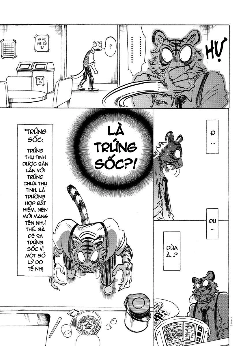 Bởi Vì Chúng Ta Đều Là Những Ngôi Sao Chapter 155 - 5