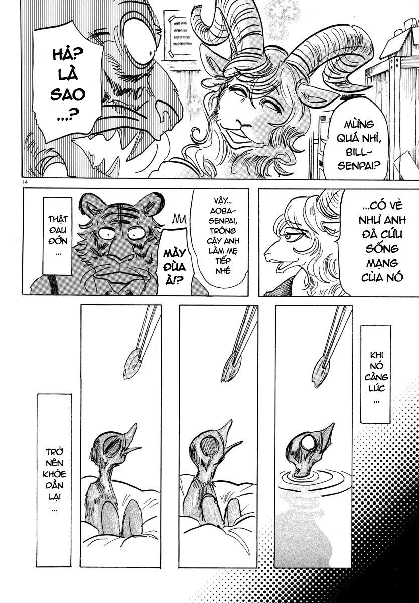 Bởi Vì Chúng Ta Đều Là Những Ngôi Sao Chapter 155 - 14