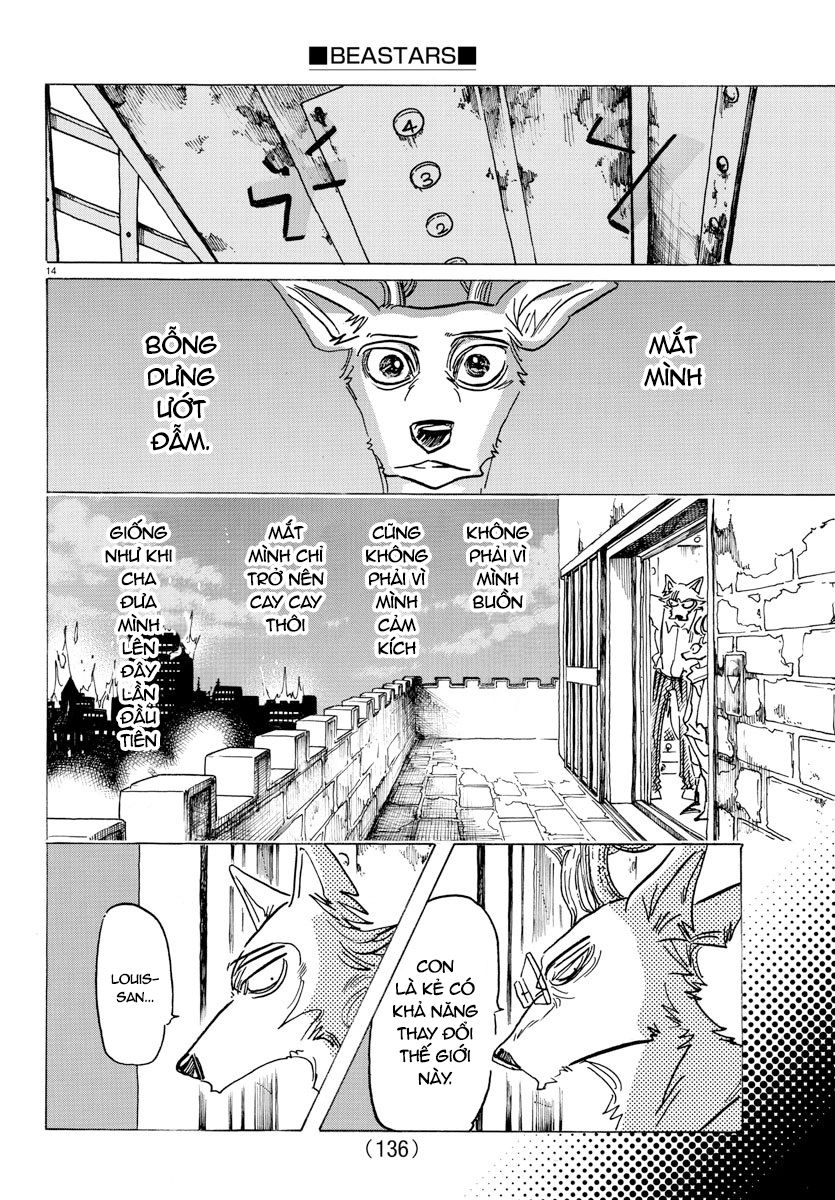 Bởi Vì Chúng Ta Đều Là Những Ngôi Sao Chapter 158 - 18