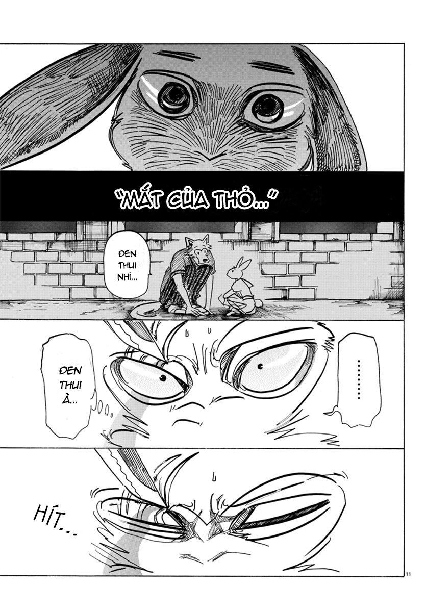 Bởi Vì Chúng Ta Đều Là Những Ngôi Sao Chapter 159 - 11