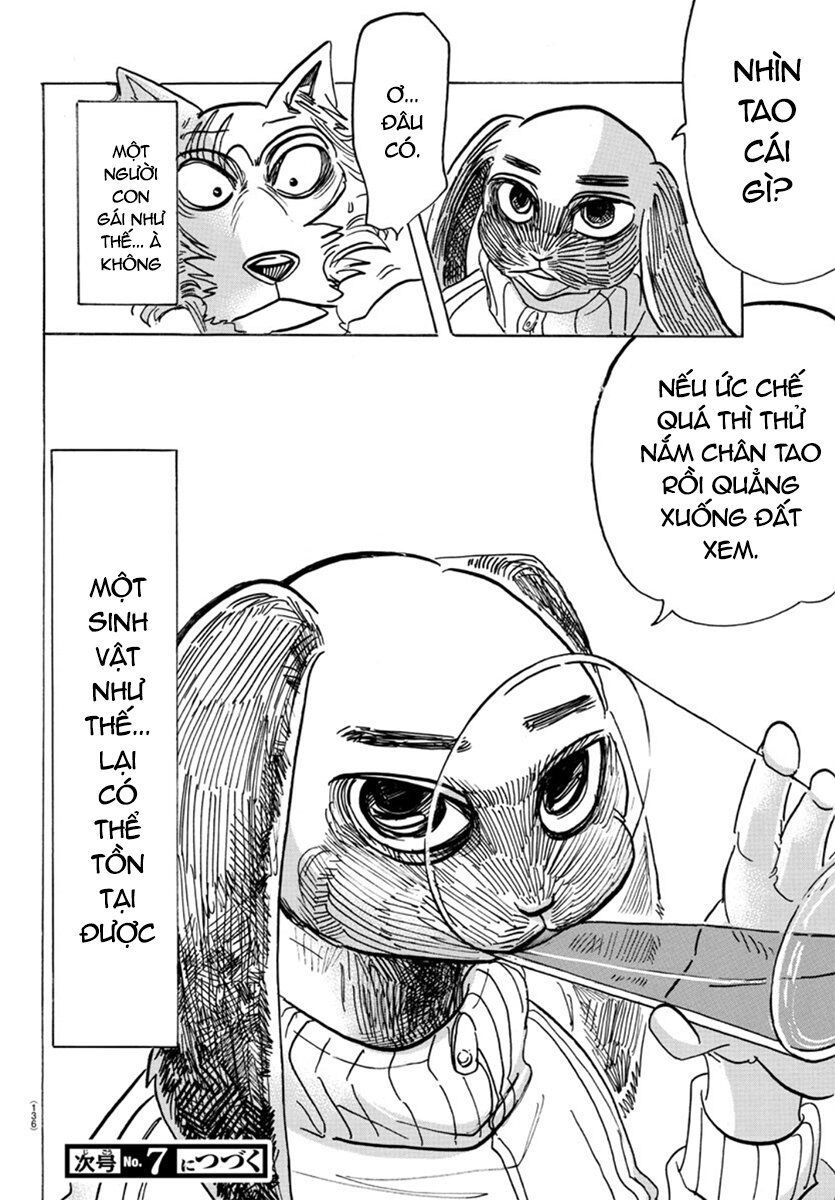 Bởi Vì Chúng Ta Đều Là Những Ngôi Sao Chapter 159 - 20