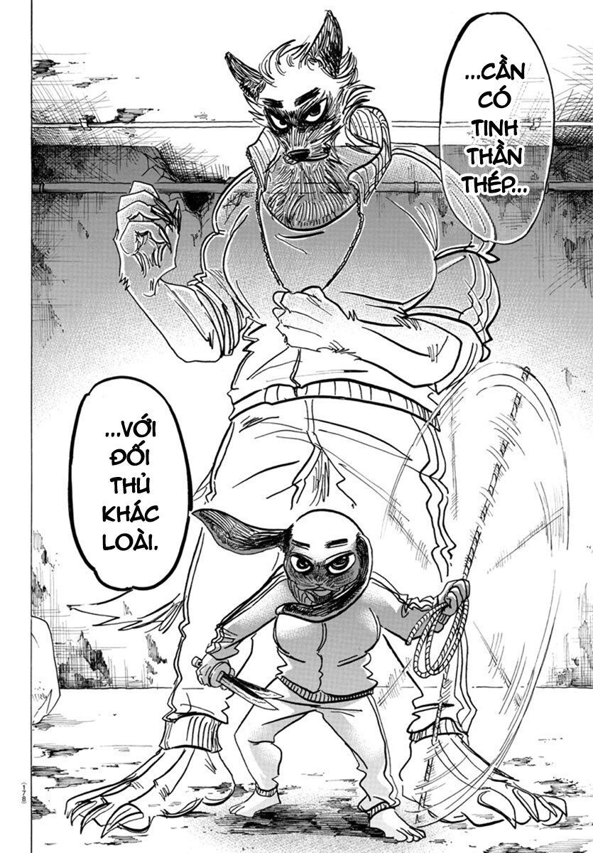 Bởi Vì Chúng Ta Đều Là Những Ngôi Sao Chapter 160 - 10