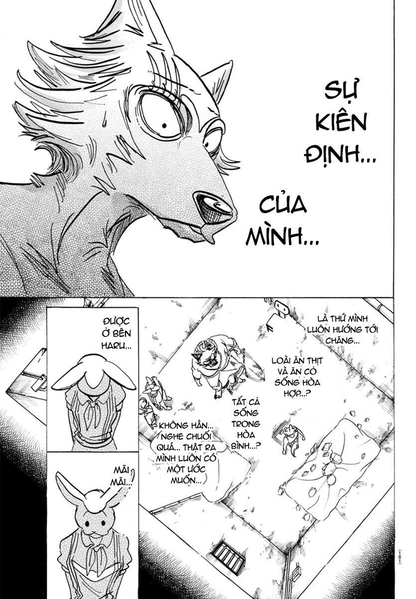 Bởi Vì Chúng Ta Đều Là Những Ngôi Sao Chapter 160 - 13