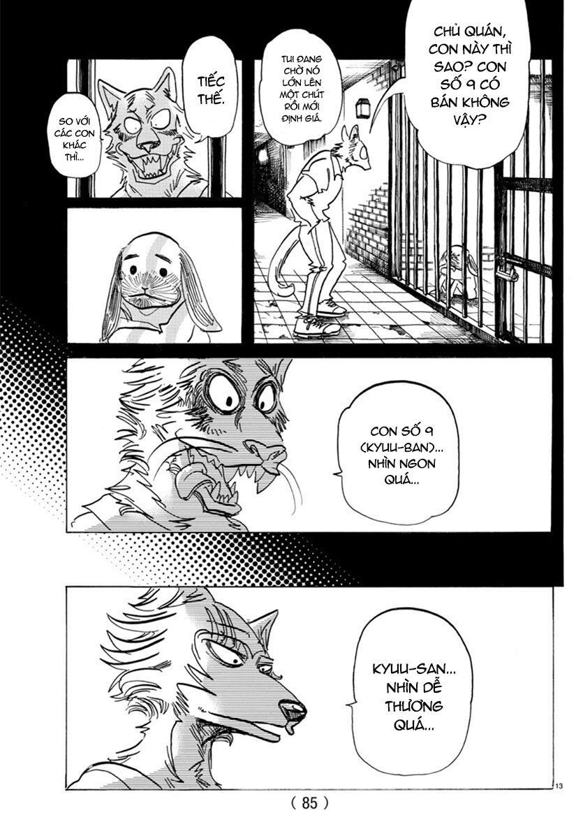 Bởi Vì Chúng Ta Đều Là Những Ngôi Sao Chapter 161 - 13