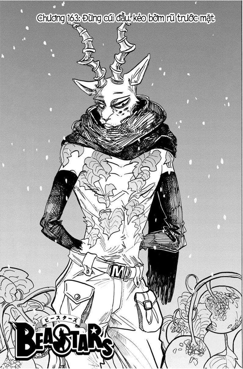 Bởi Vì Chúng Ta Đều Là Những Ngôi Sao Chapter 163 - 1