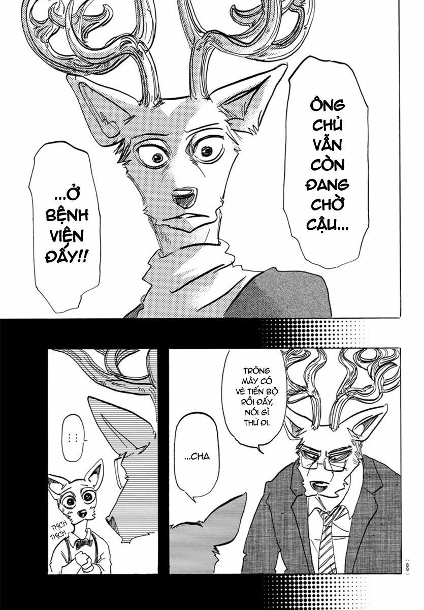 Bởi Vì Chúng Ta Đều Là Những Ngôi Sao Chapter 165 - 7