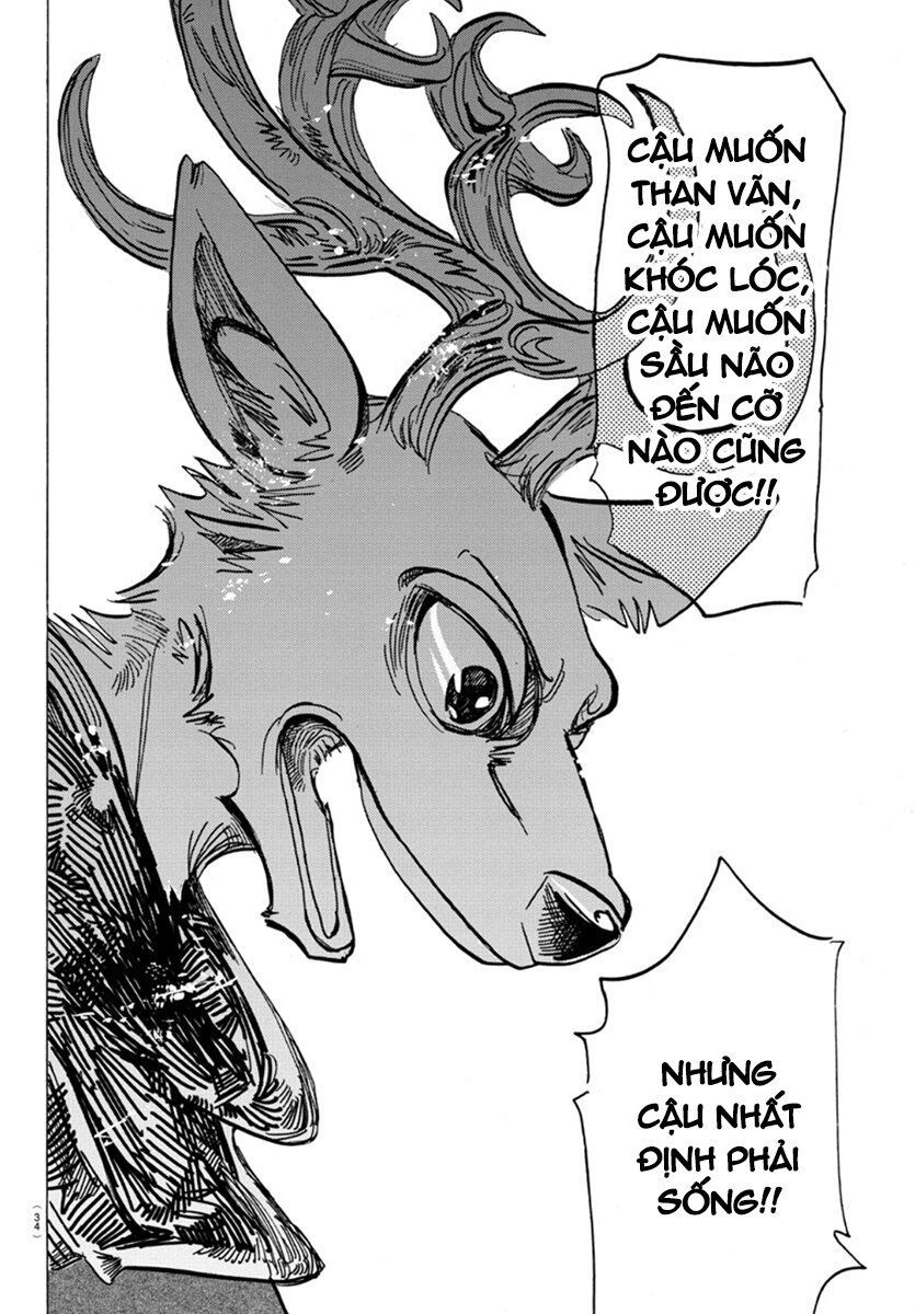 Bởi Vì Chúng Ta Đều Là Những Ngôi Sao Chapter 167 - 9