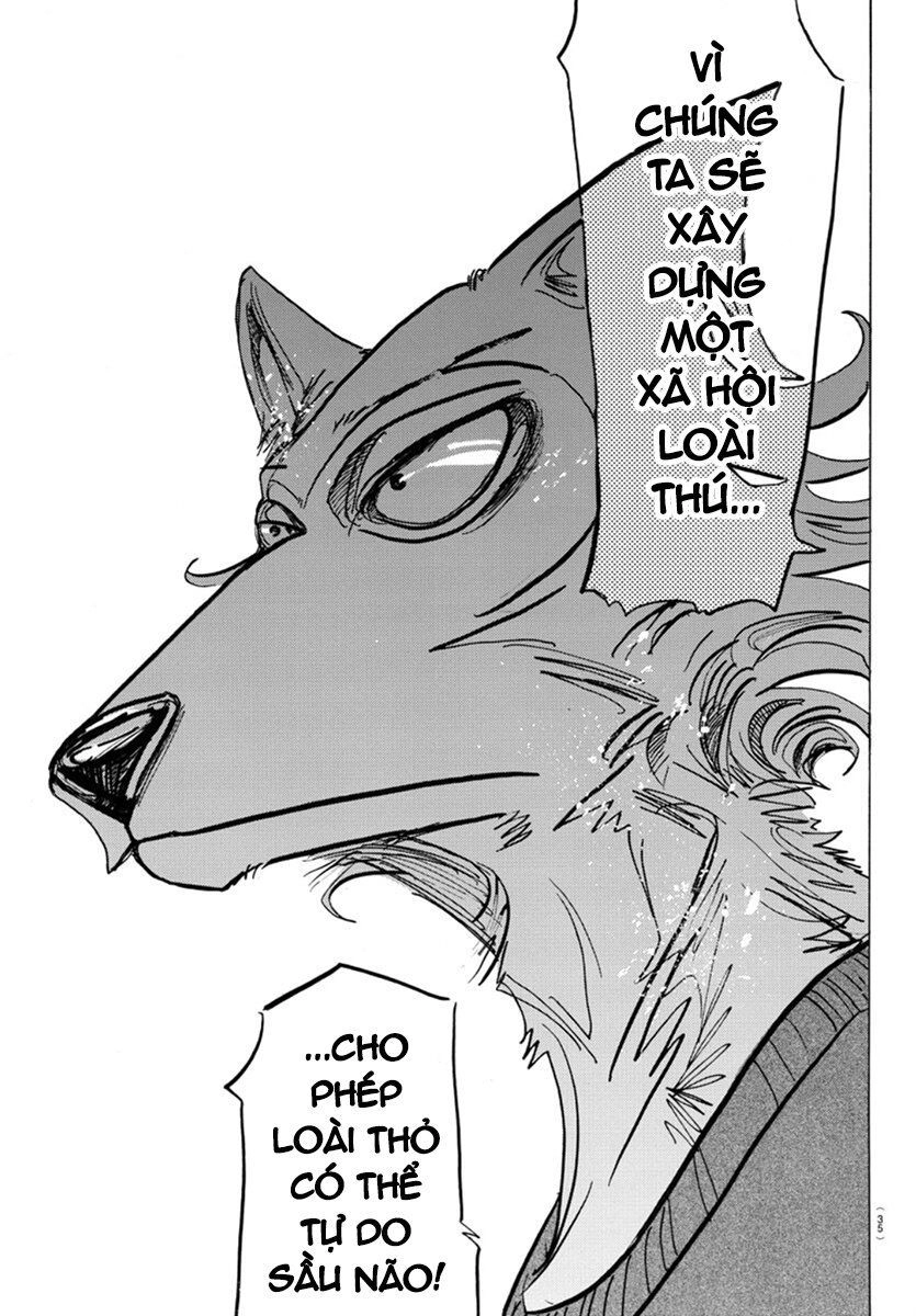 Bởi Vì Chúng Ta Đều Là Những Ngôi Sao Chapter 167 - 10