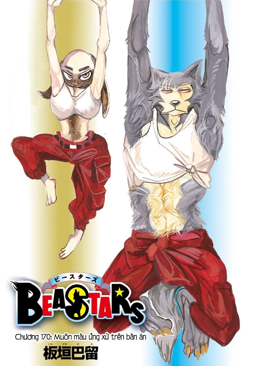 Bởi Vì Chúng Ta Đều Là Những Ngôi Sao Chapter 170 - 1