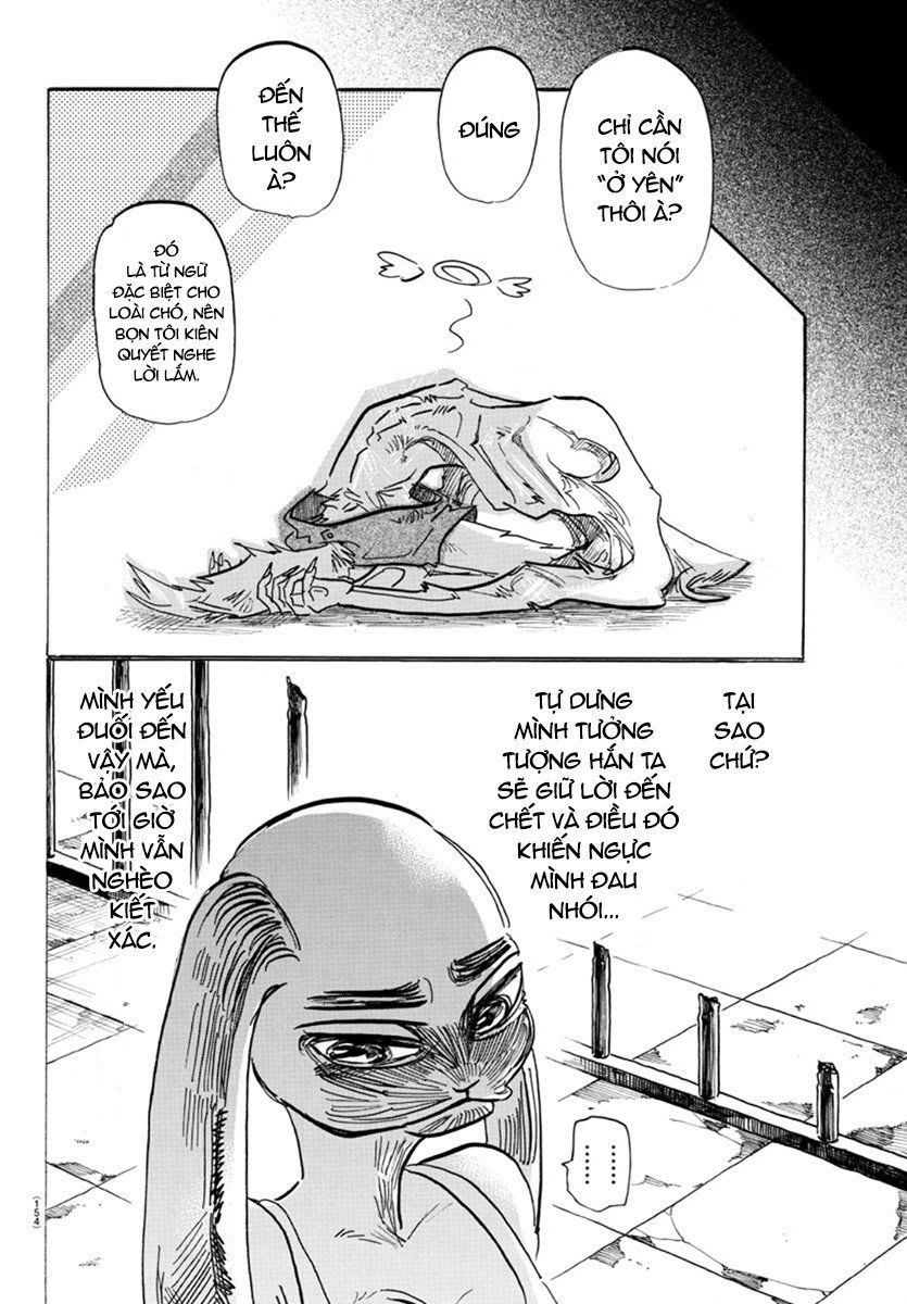 Bởi Vì Chúng Ta Đều Là Những Ngôi Sao Chapter 171 - 10