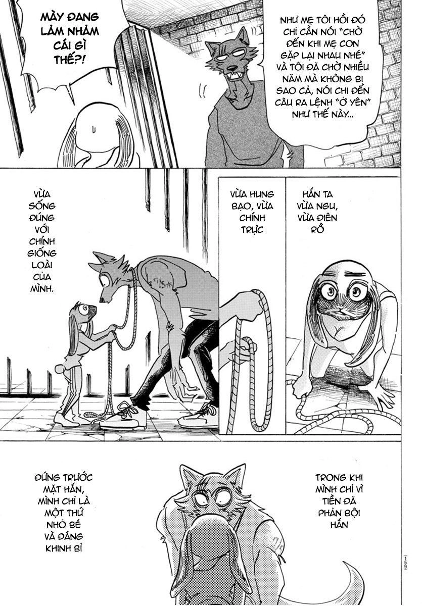 Bởi Vì Chúng Ta Đều Là Những Ngôi Sao Chapter 171 - 15