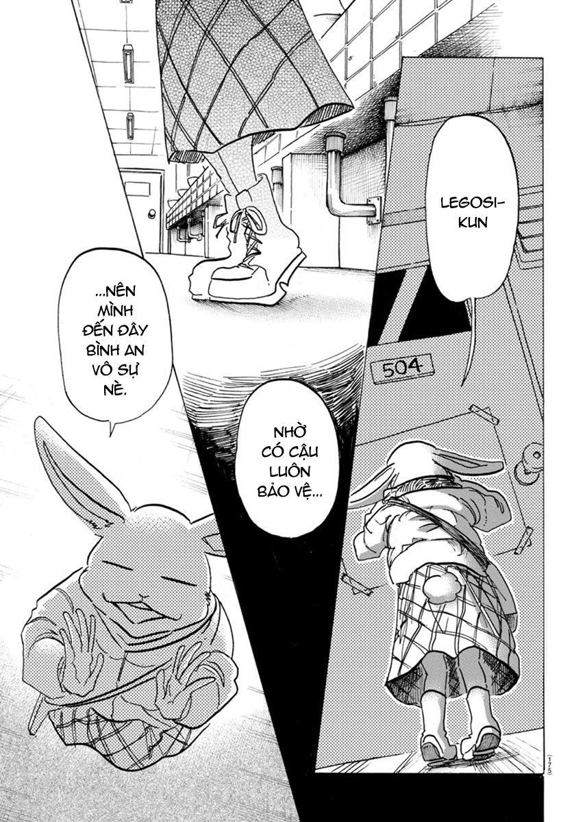 Bởi Vì Chúng Ta Đều Là Những Ngôi Sao Chapter 172 - 13