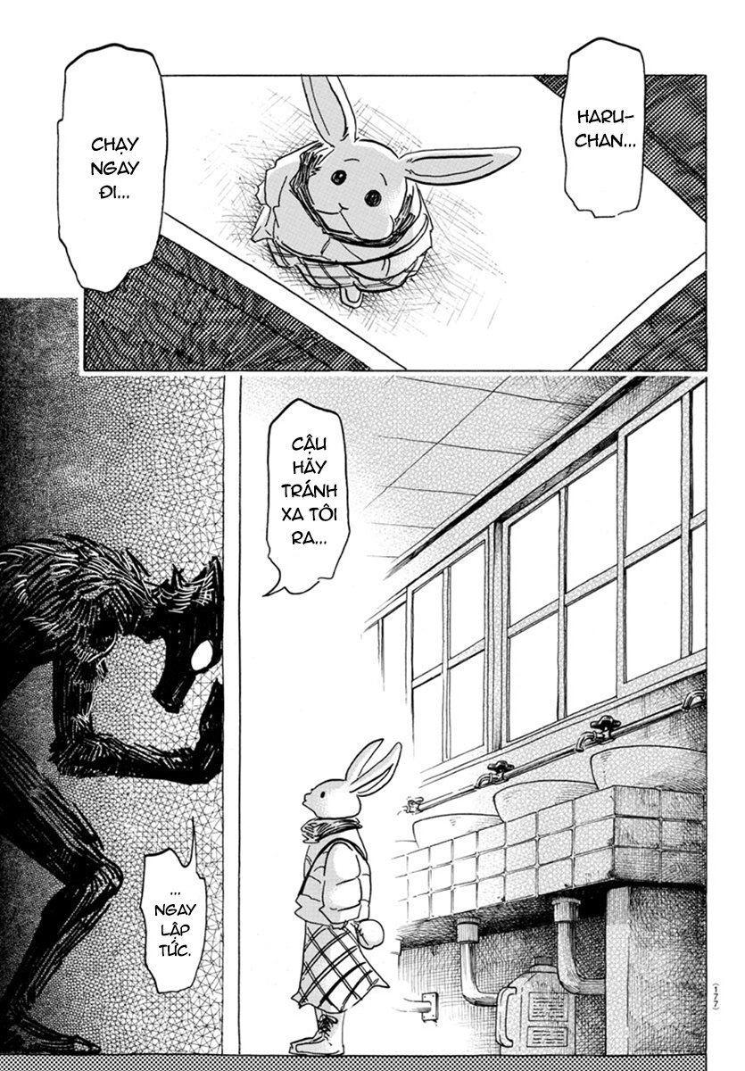 Bởi Vì Chúng Ta Đều Là Những Ngôi Sao Chapter 172 - 15